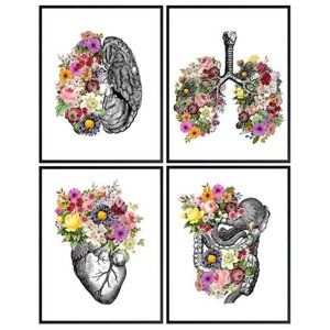 Medical Flower Organs Wall Art 4 Prints Anatomy Home Decor Dr Office